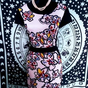 Fashion to figure multi colored dress